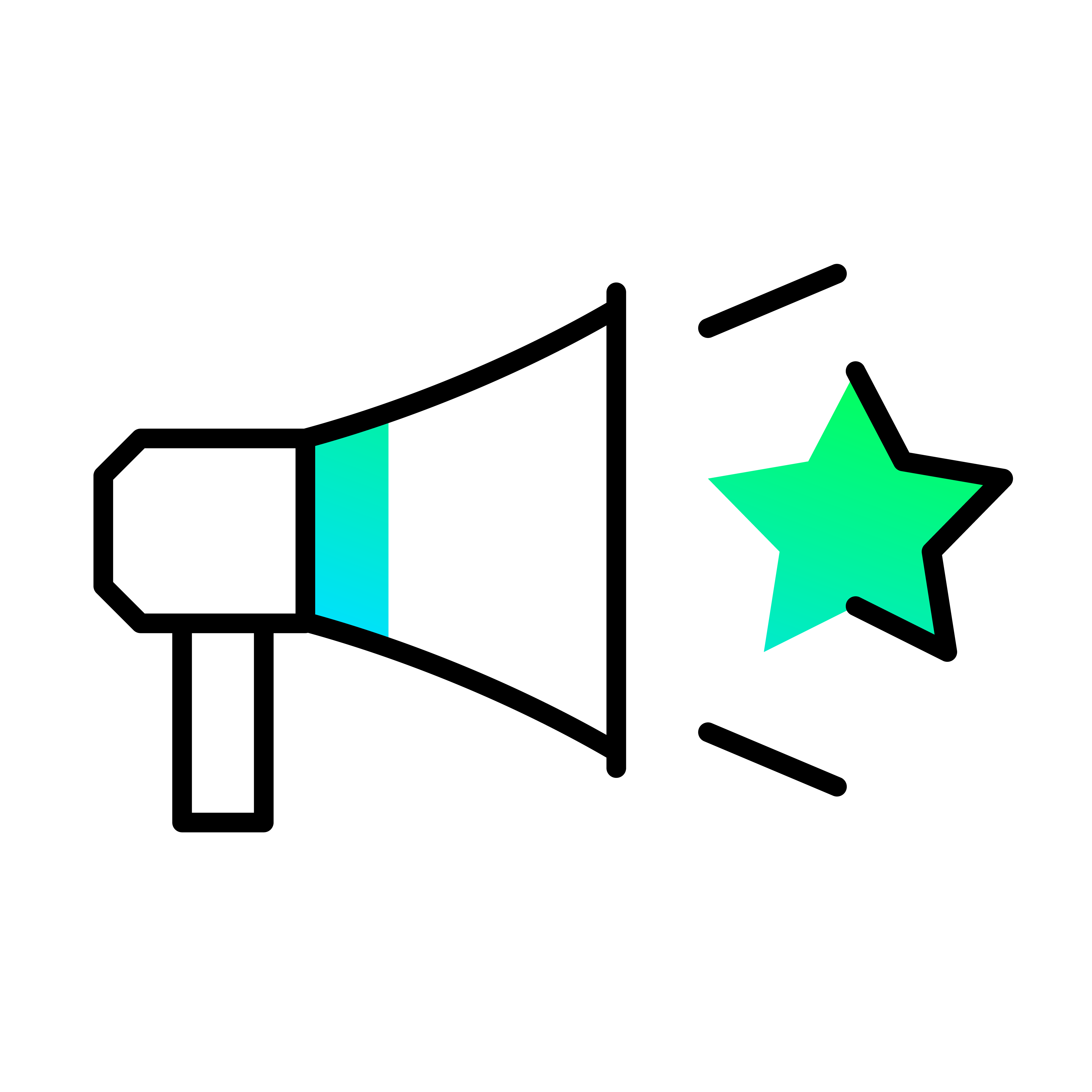 Selected Icon