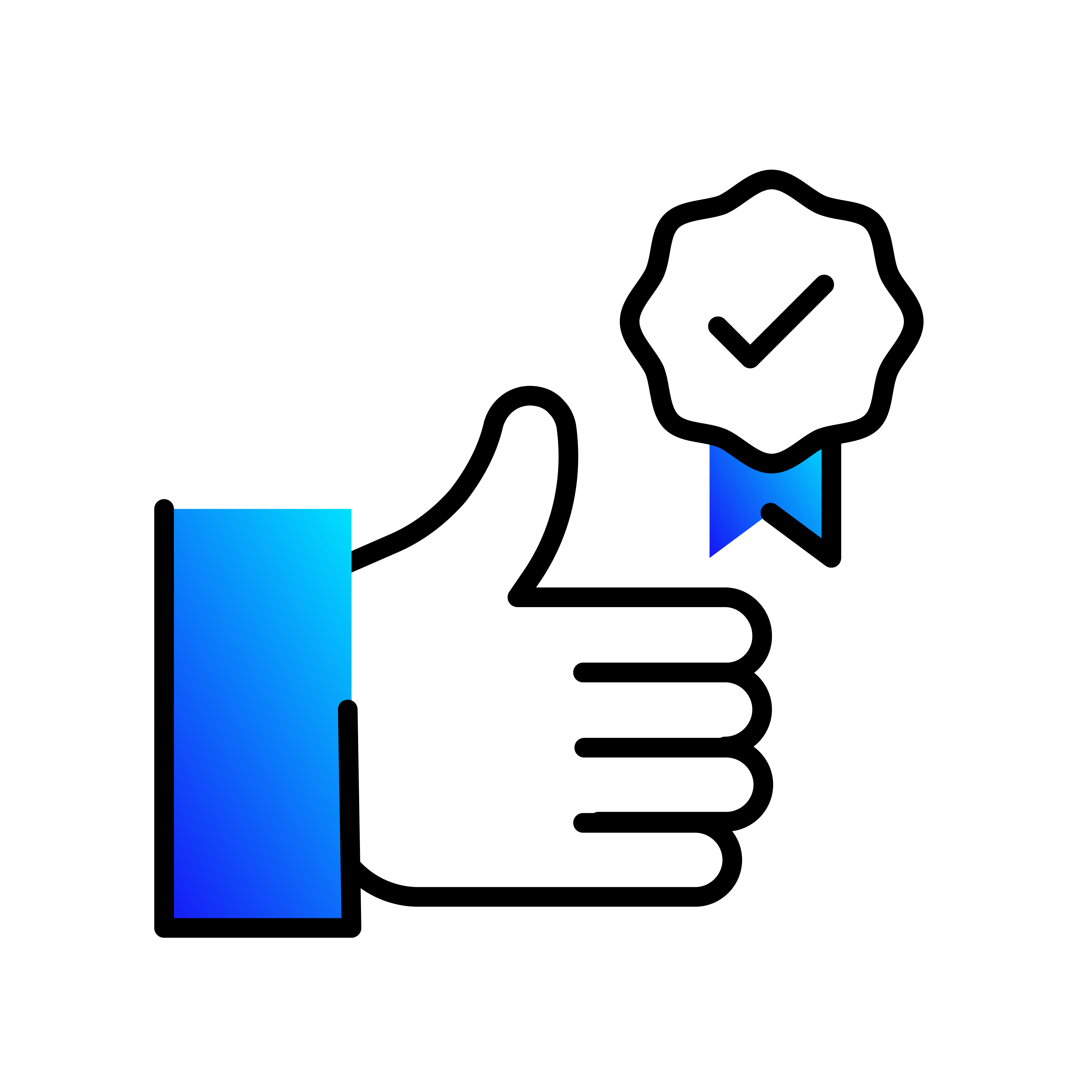 Selected Icon
